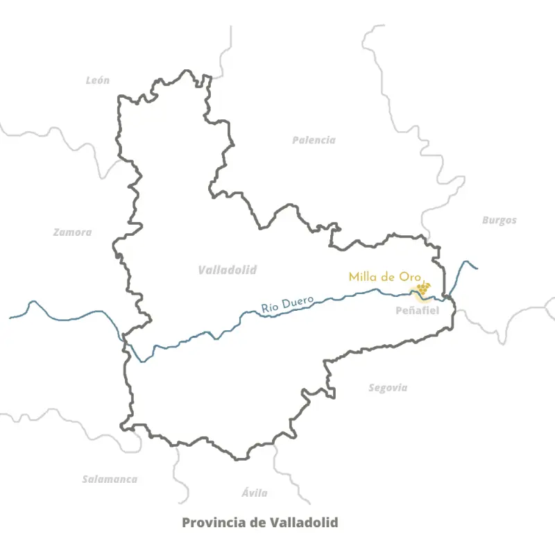 Provincia Valladolid