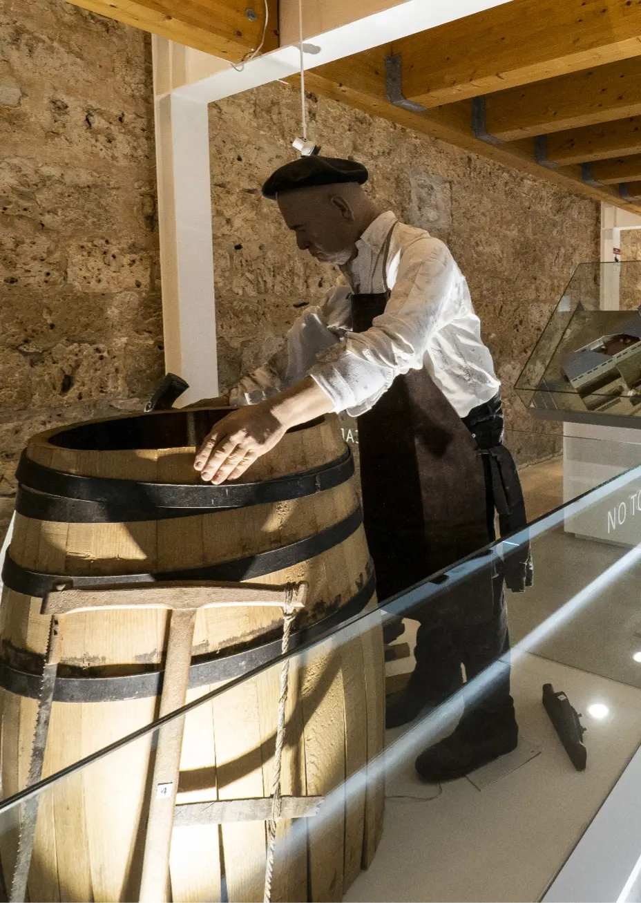 Museo Provincial del Vino - Peñafiel - Valladolid