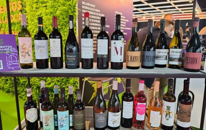 BODEGAS FENAVIN 2025