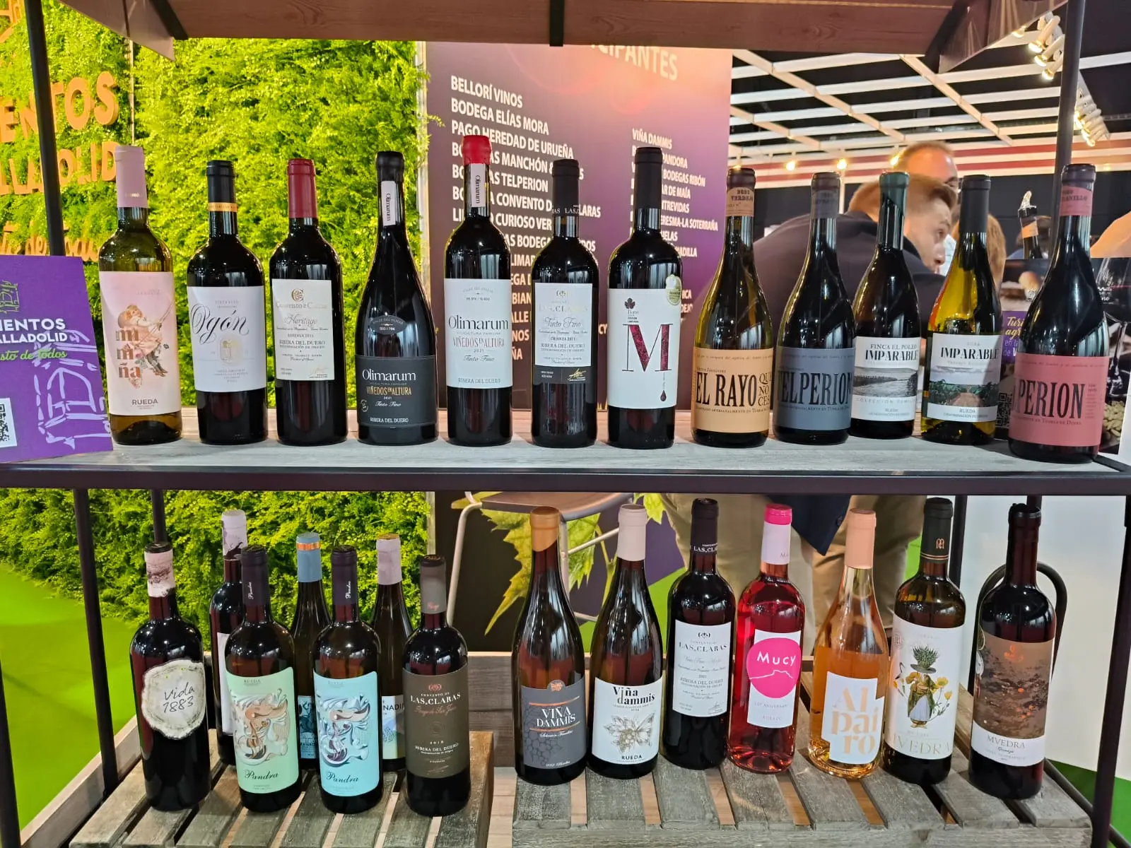 BODEGAS FENAVIN 2025 BODEGAS FENAVIN 2025
